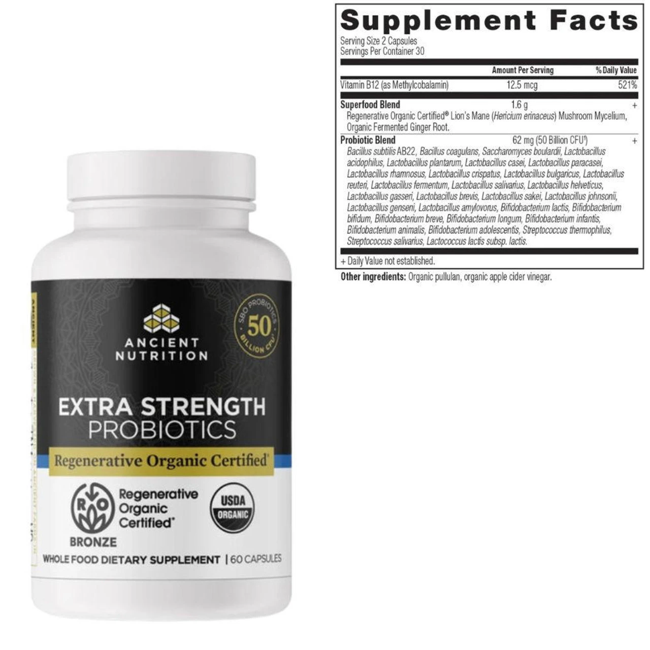 Ancient Nutrition Extra Strength Probiotics 60 Capsules Ancient Nutrition Extra Strength Probiotics 60 Capsules -Best Price Nutrition Untitled design 29 37827.1702142333