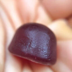 ZHOU Gut Guru Probiotic Gummies 60ct 7 ZHOU Gut Guru Probiotic Gummies 60ct -Best Price Nutrition Untitleddesign 22 6f67e376 cc79 41a6 b7e4 a79f4a2ba9c7 71104.1702147807